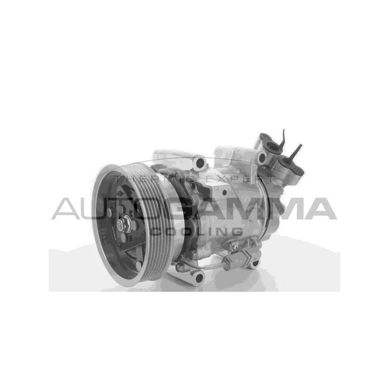 Compresseur, climatisation AUTOGAMMA 108569