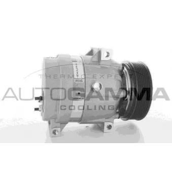 Compresseur, climatisation AUTOGAMMA 108571