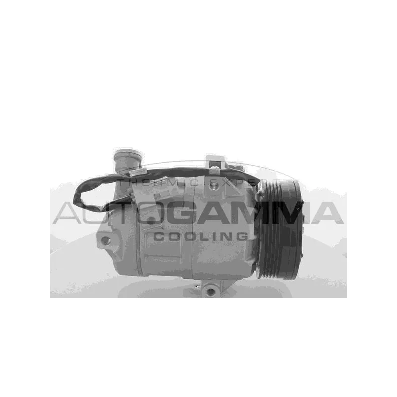 Compresseur, climatisation AUTOGAMMA 108584
