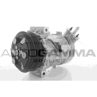 Compresseur, climatisation AUTOGAMMA 108597