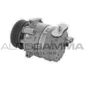 Compresseur, climatisation AUTOGAMMA 108600