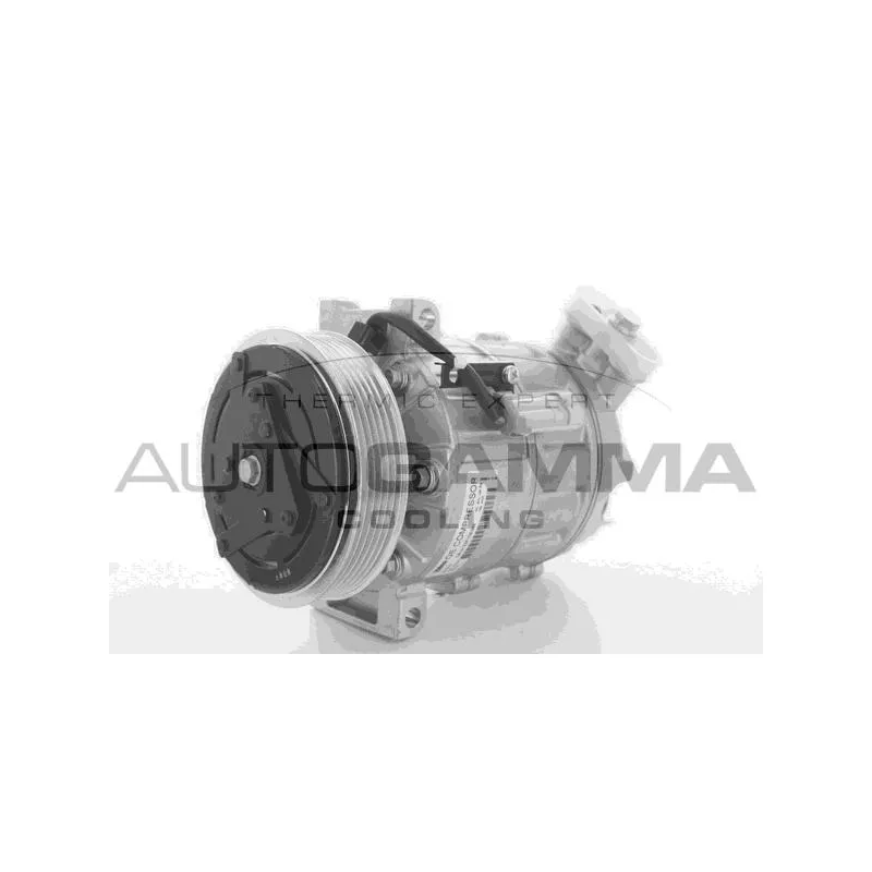 Compresseur, climatisation AUTOGAMMA 108618