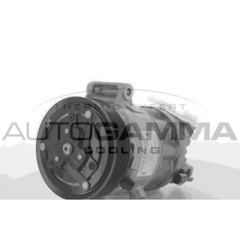 Compresseur, climatisation AUTOGAMMA 108622