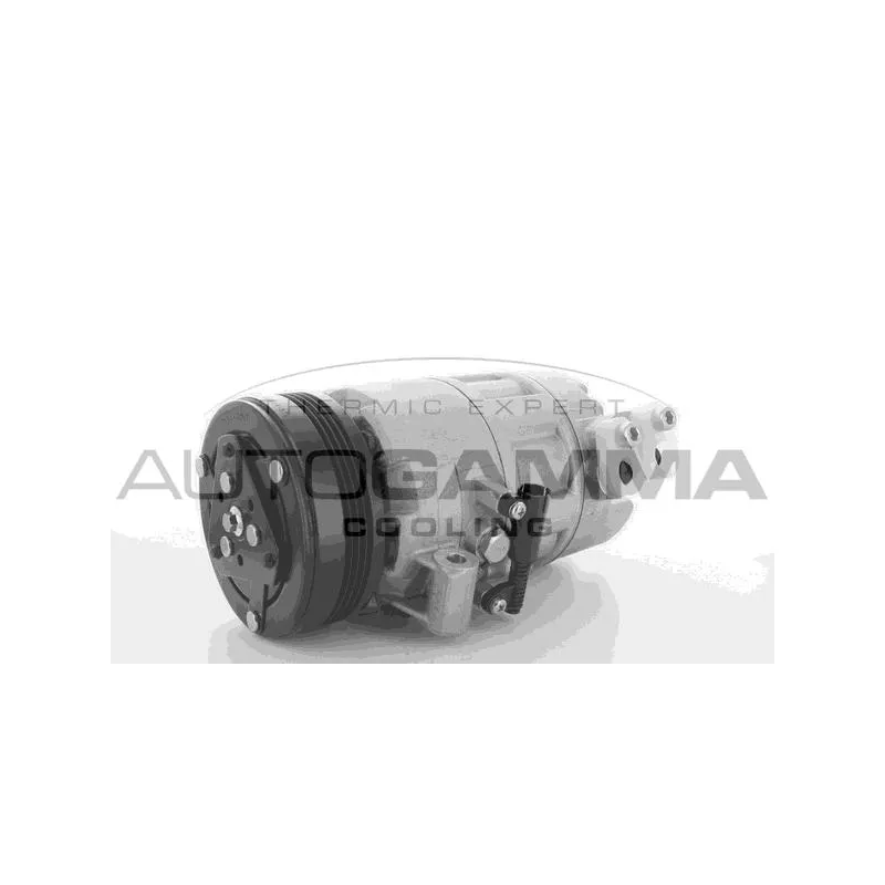 Compresseur, climatisation AUTOGAMMA 108630