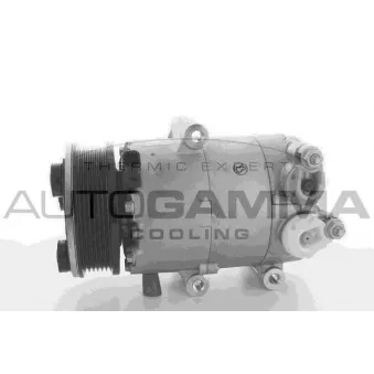 Compresseur, climatisation AUTOGAMMA 108666