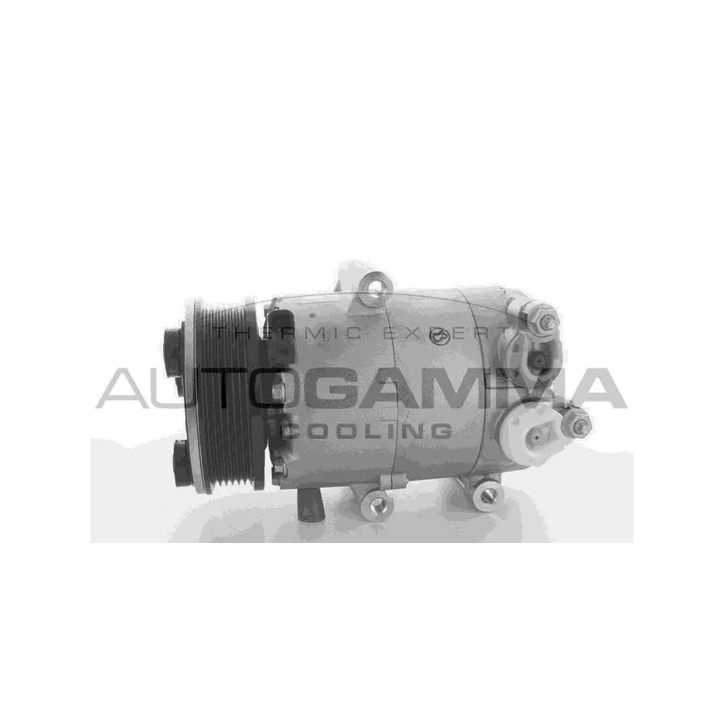 Compresseur, climatisation AUTOGAMMA 108666