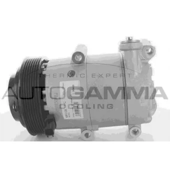 Compresseur, climatisation AUTOGAMMA 108672