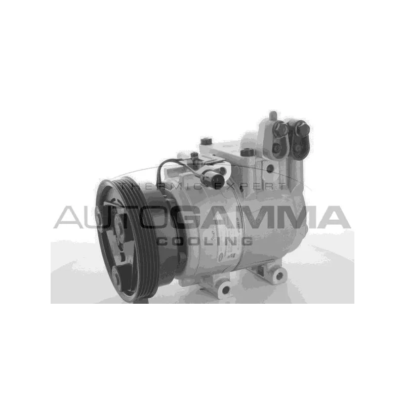 Compresseur, climatisation AUTOGAMMA 108688