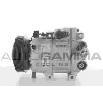 Compresseur, climatisation AUTOGAMMA 108696