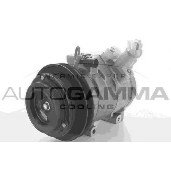 Compresseur, climatisation AUTOGAMMA 108703