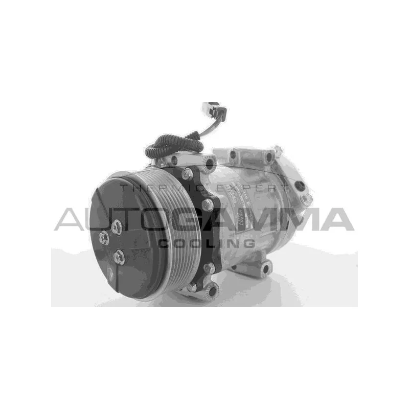 Compresseur, climatisation AUTOGAMMA 108706