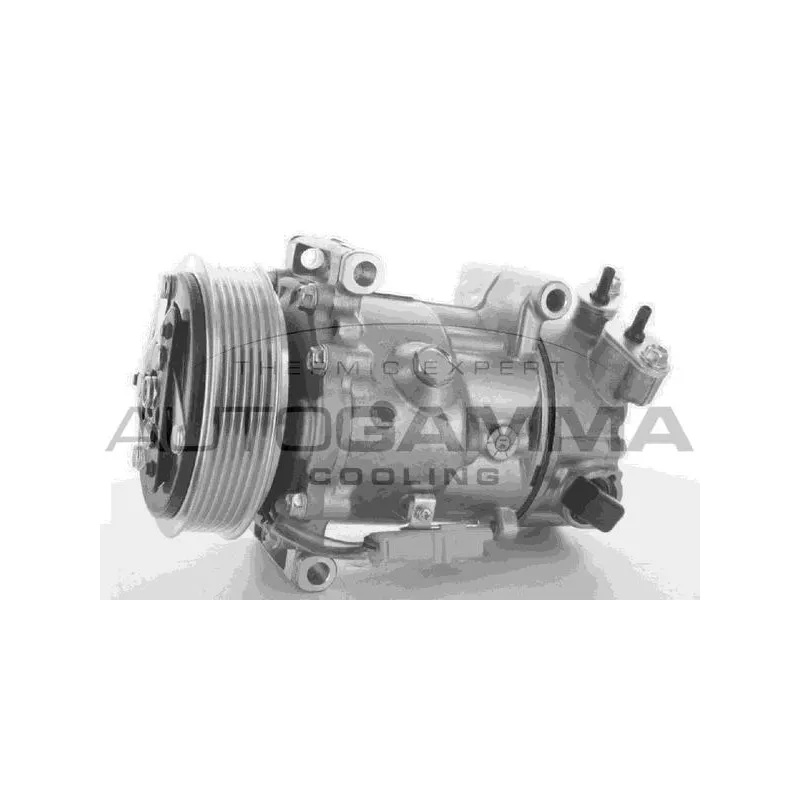 Compresseur, climatisation AUTOGAMMA 108892