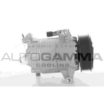 Compresseur, climatisation AUTOGAMMA 108895