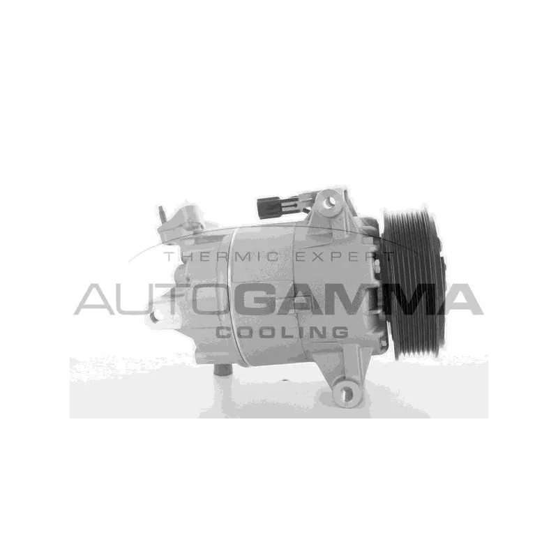Compresseur, climatisation AUTOGAMMA 108895