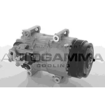 Compresseur, climatisation AUTOGAMMA 108898