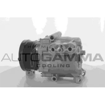 Compresseur, climatisation AUTOGAMMA 108899