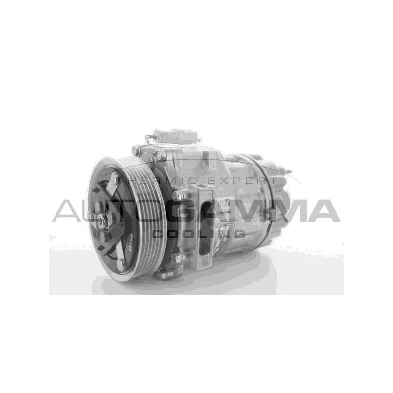 Compresseur, climatisation AUTOGAMMA 108900