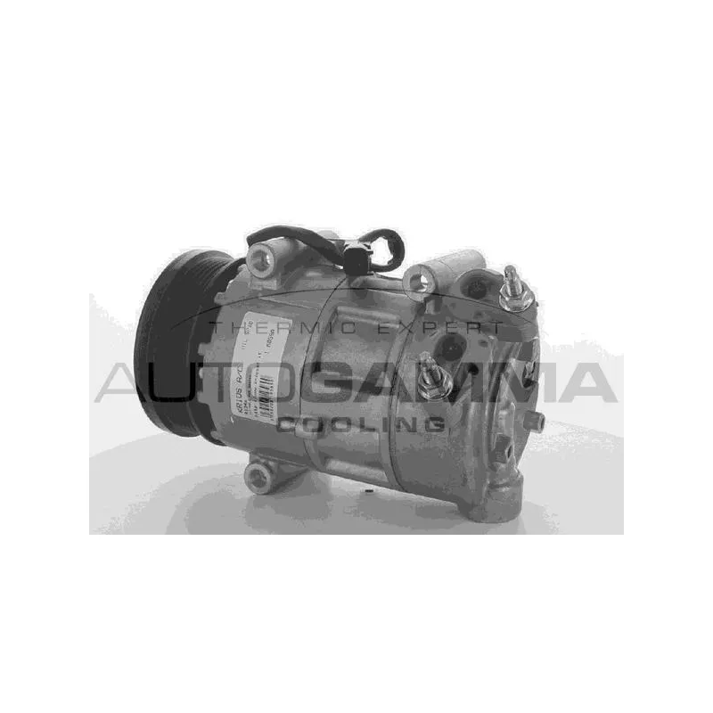 Compresseur, climatisation AUTOGAMMA 108901