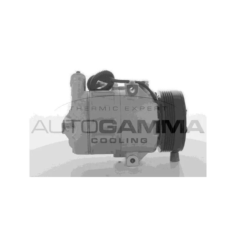 Compresseur, climatisation AUTOGAMMA 108907