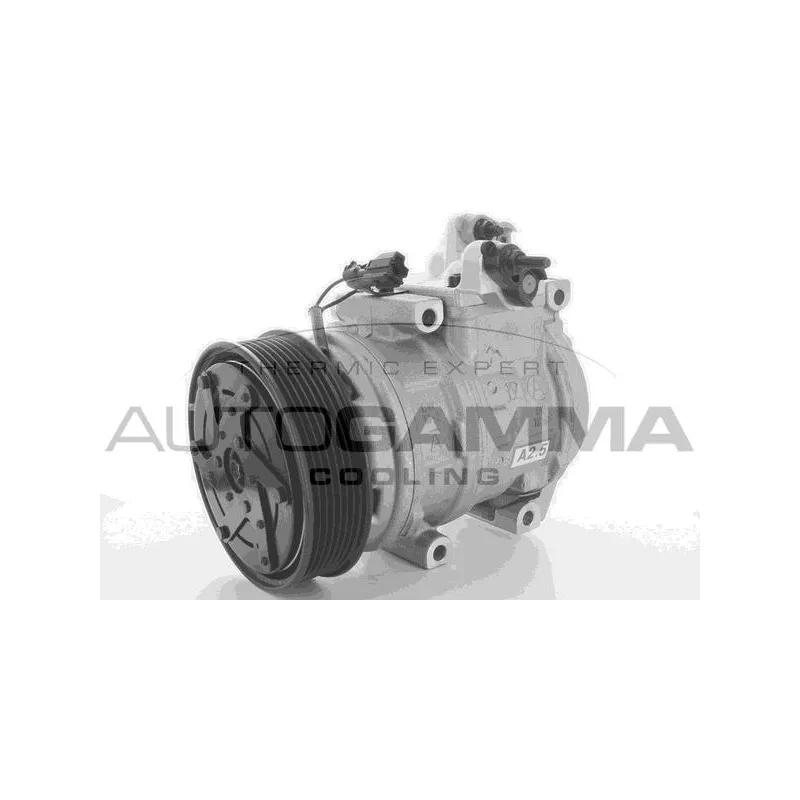 Compresseur, climatisation AUTOGAMMA 108908