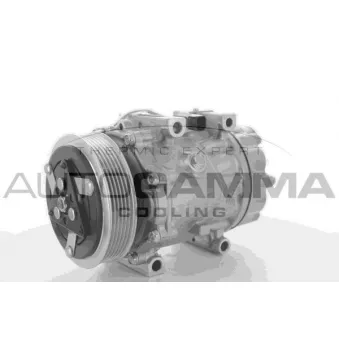 Compresseur, climatisation AUTOGAMMA 108911