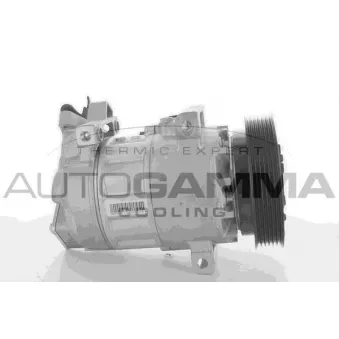 Compresseur, climatisation AUTOGAMMA 108913