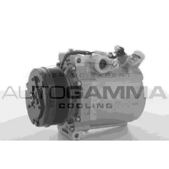 Compresseur, climatisation AUTOGAMMA 108921