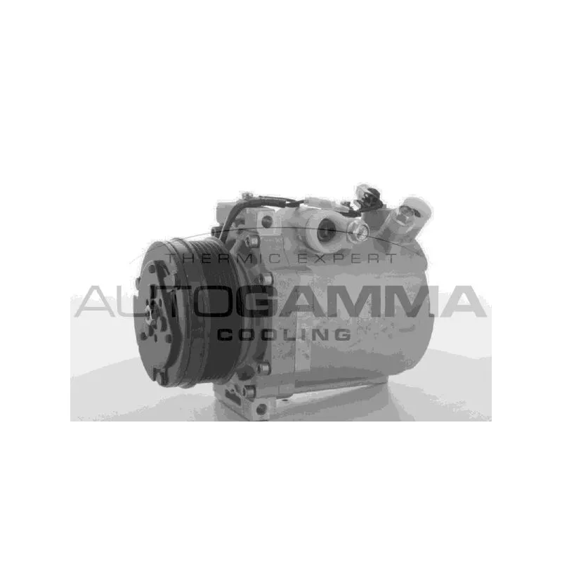Compresseur, climatisation AUTOGAMMA 108921