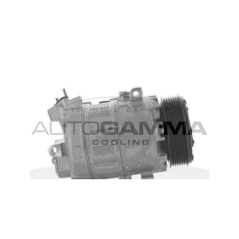 Compresseur, climatisation AUTOGAMMA 108922