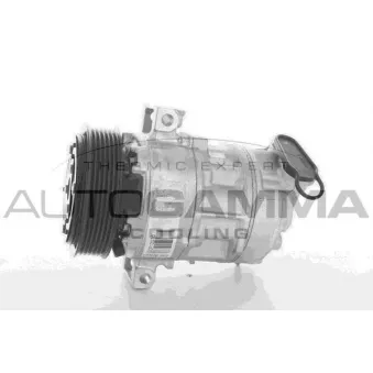 Compresseur, climatisation AUTOGAMMA 108923