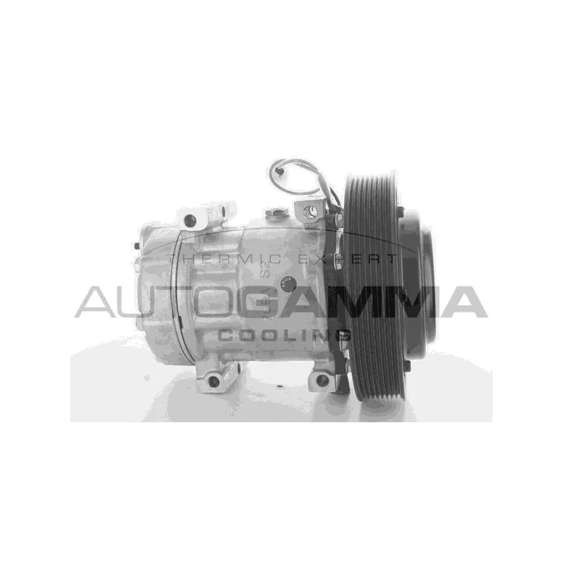 Compresseur, climatisation AUTOGAMMA 108940