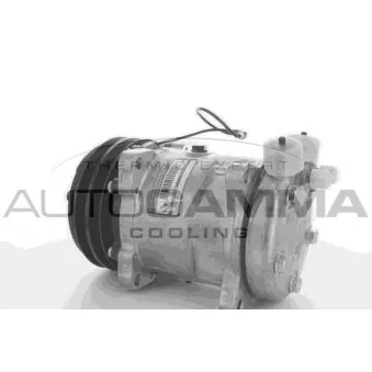 Compresseur, climatisation AUTOGAMMA 108943