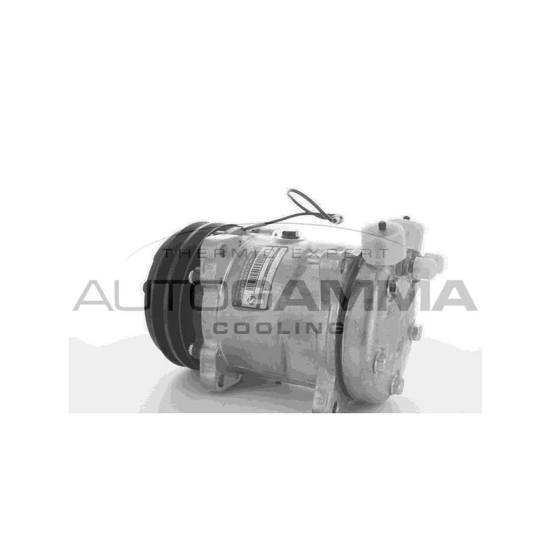 Compresseur, climatisation AUTOGAMMA 108943