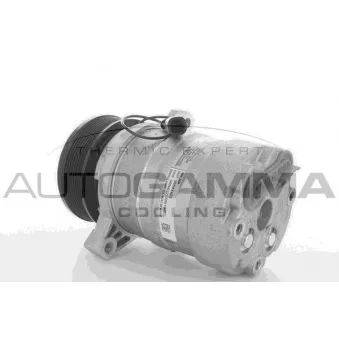 Compresseur, climatisation AUTOGAMMA 108953