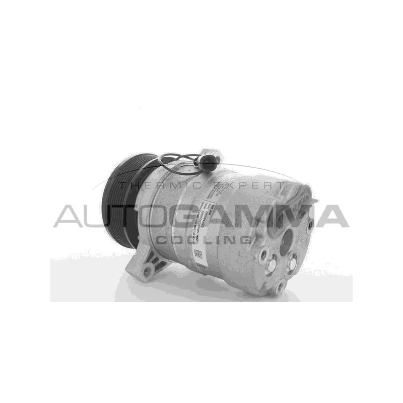 Compresseur, climatisation AUTOGAMMA 108953