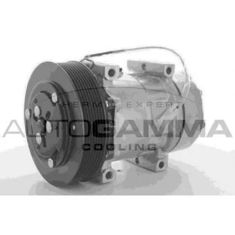 Compresseur, climatisation AUTOGAMMA 108955