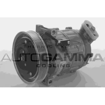 Compresseur, climatisation AUTOGAMMA 108959