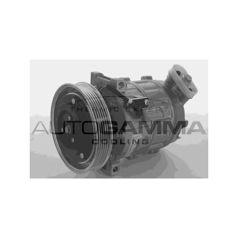 Compresseur, climatisation AUTOGAMMA 108959