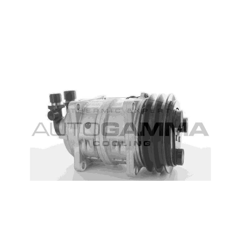 Compresseur, climatisation AUTOGAMMA 108962