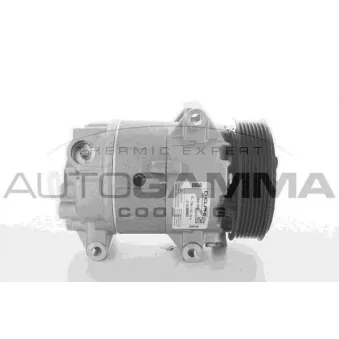 Compresseur, climatisation AUTOGAMMA 108978