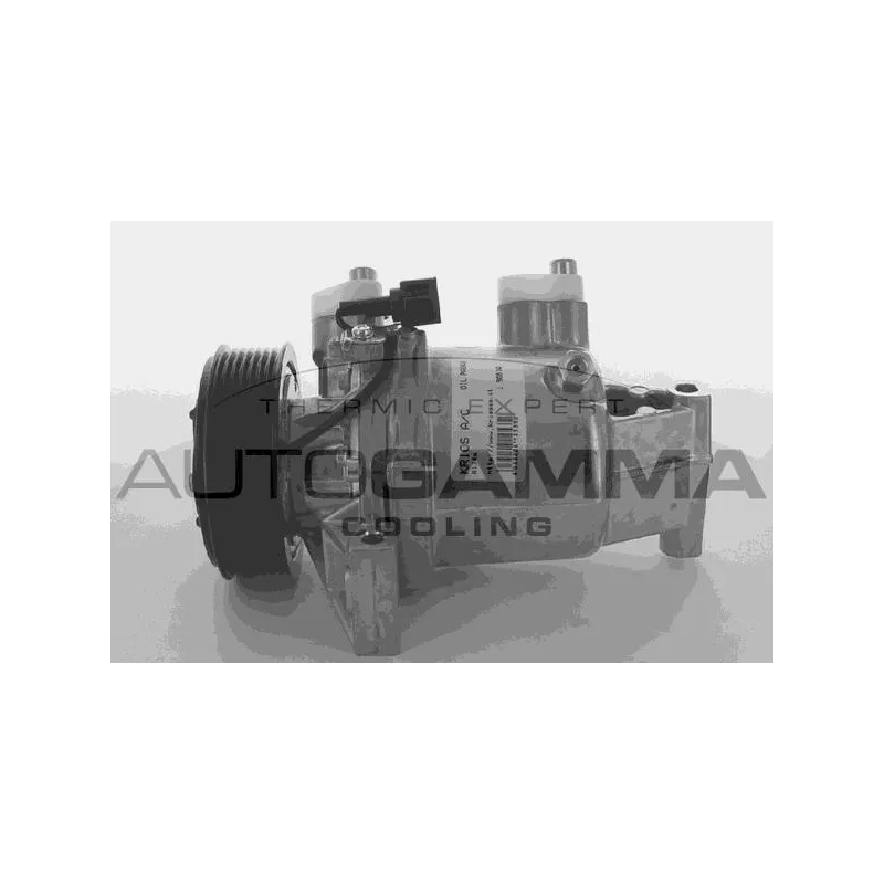 Compresseur, climatisation AUTOGAMMA 108998