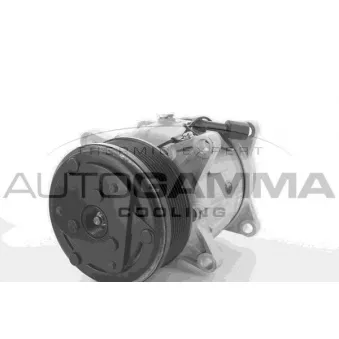 Compresseur, climatisation AUTOGAMMA 109103