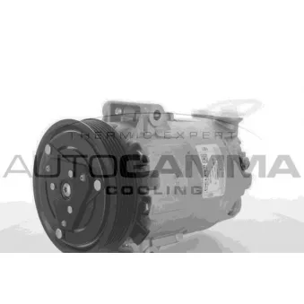 Compresseur, climatisation AUTOGAMMA 109128