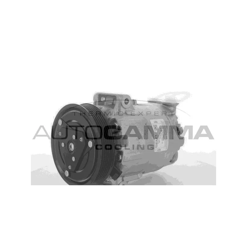 Compresseur, climatisation AUTOGAMMA 109128