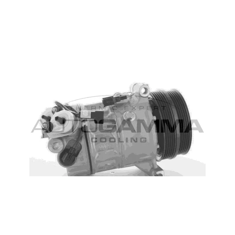 Compresseur, climatisation AUTOGAMMA 109213