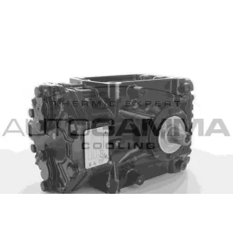 Compresseur, climatisation AUTOGAMMA 109306