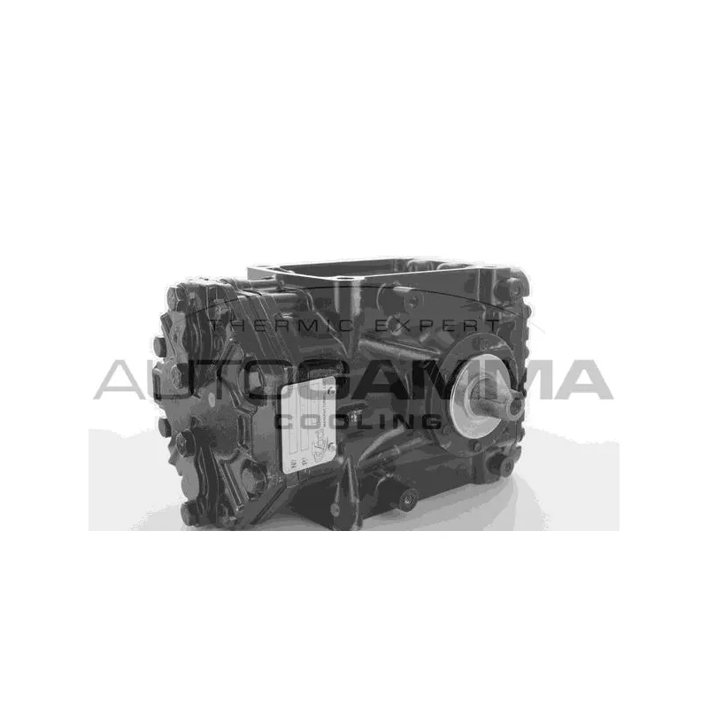 Compresseur, climatisation AUTOGAMMA 109306