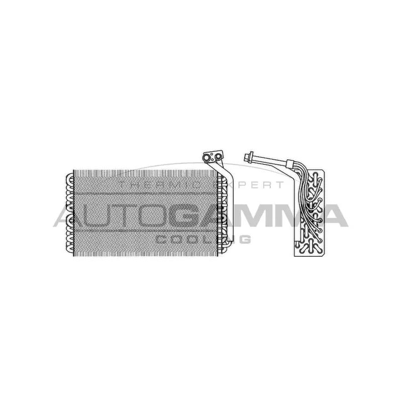 Évaporateur climatisation AUTOGAMMA 112020