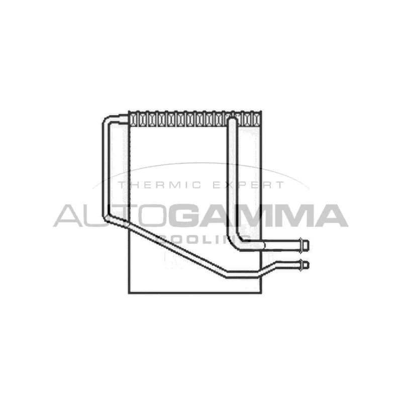 Évaporateur climatisation AUTOGAMMA 112021