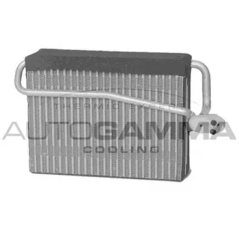 Évaporateur climatisation AUTOGAMMA 112022